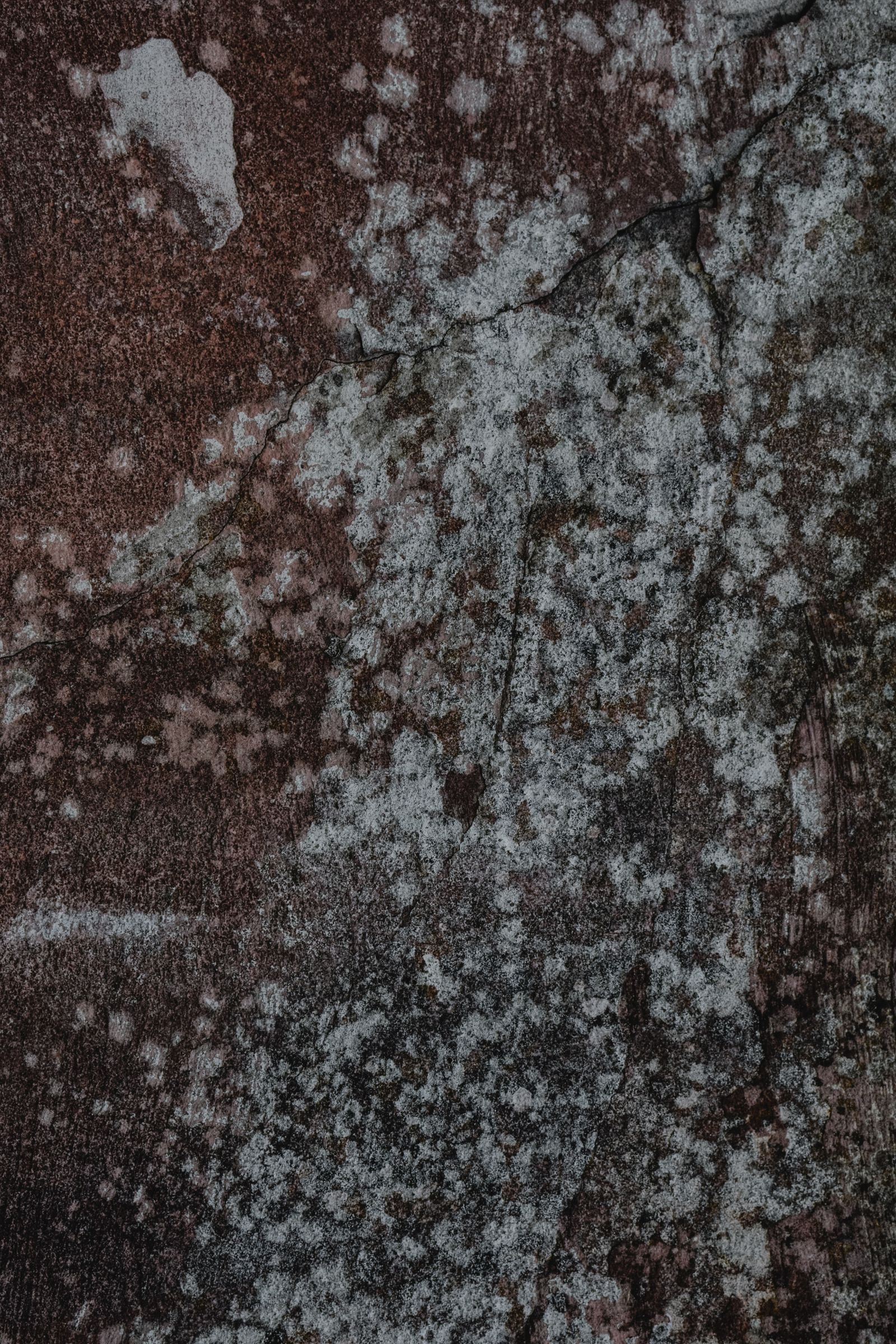 Surface brune constellée de points clairs, texture de matériau poreux colonisé